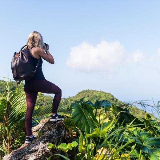 Saba Island Premier Properties - Image by Flash Parker