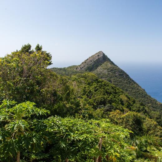 Saba Island Premier Properties - Image by Flash Parker