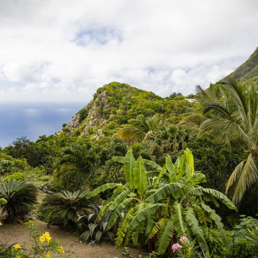 Saba Island Premier Properties