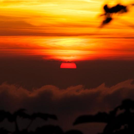 Saba Sunset