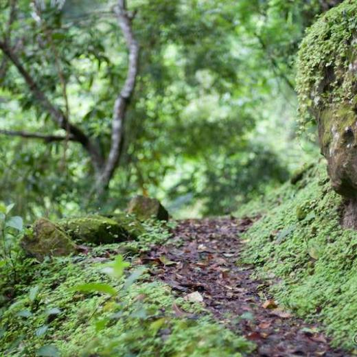 Hike Saba Island