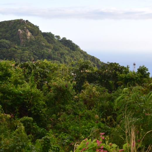 Mount Scenery - Saba Island Premier Properties