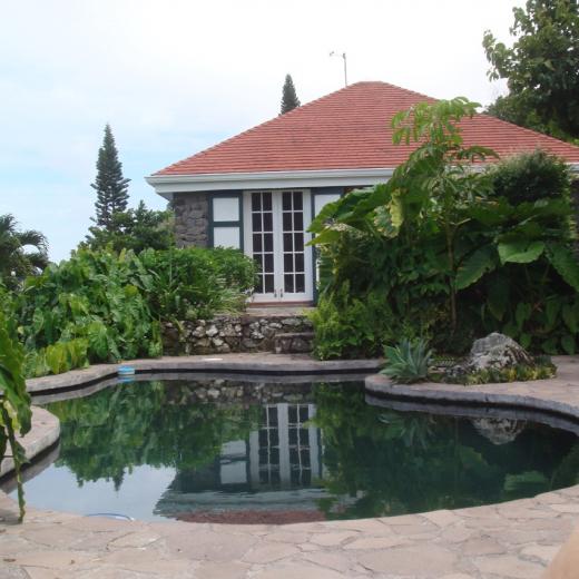 Hummingbird Villa Pool View - Saba Island Premier Properties