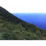 Pointe Paradise - Saba Island Premier Properties