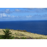 Soleil Caris - Saba Island Premier Properties