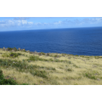 Soleil Caris - Saba Island Premier Properties