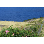 Soleil Caris - Saba Island Premier Properties