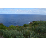 Soleil Caris - Saba Island Premier Properties