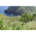 Spring Bay - Saba Island Premier Properties