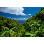 The Cottage Club - Saba Island Premier Properties