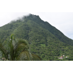 Bella Vista - Saba Island Premier Properties