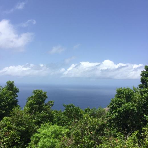 Sapphire Breeze - Saba Island Premier Properties