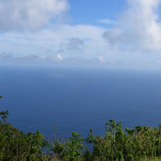 The Reach - Saba Island Premier Properties