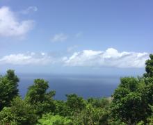 Sapphire Breeze - Saba Island Premier Properties