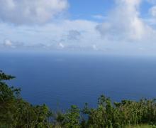 The Reach - Saba Island Premier Properties