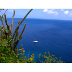 Mahogany Bay Club - Ladder Bay - Saba Island Premier Properties