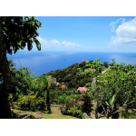 El Momo View - Saba Island Premier Properties
