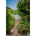 Herman's Cottage - Saba Island Premier Properties